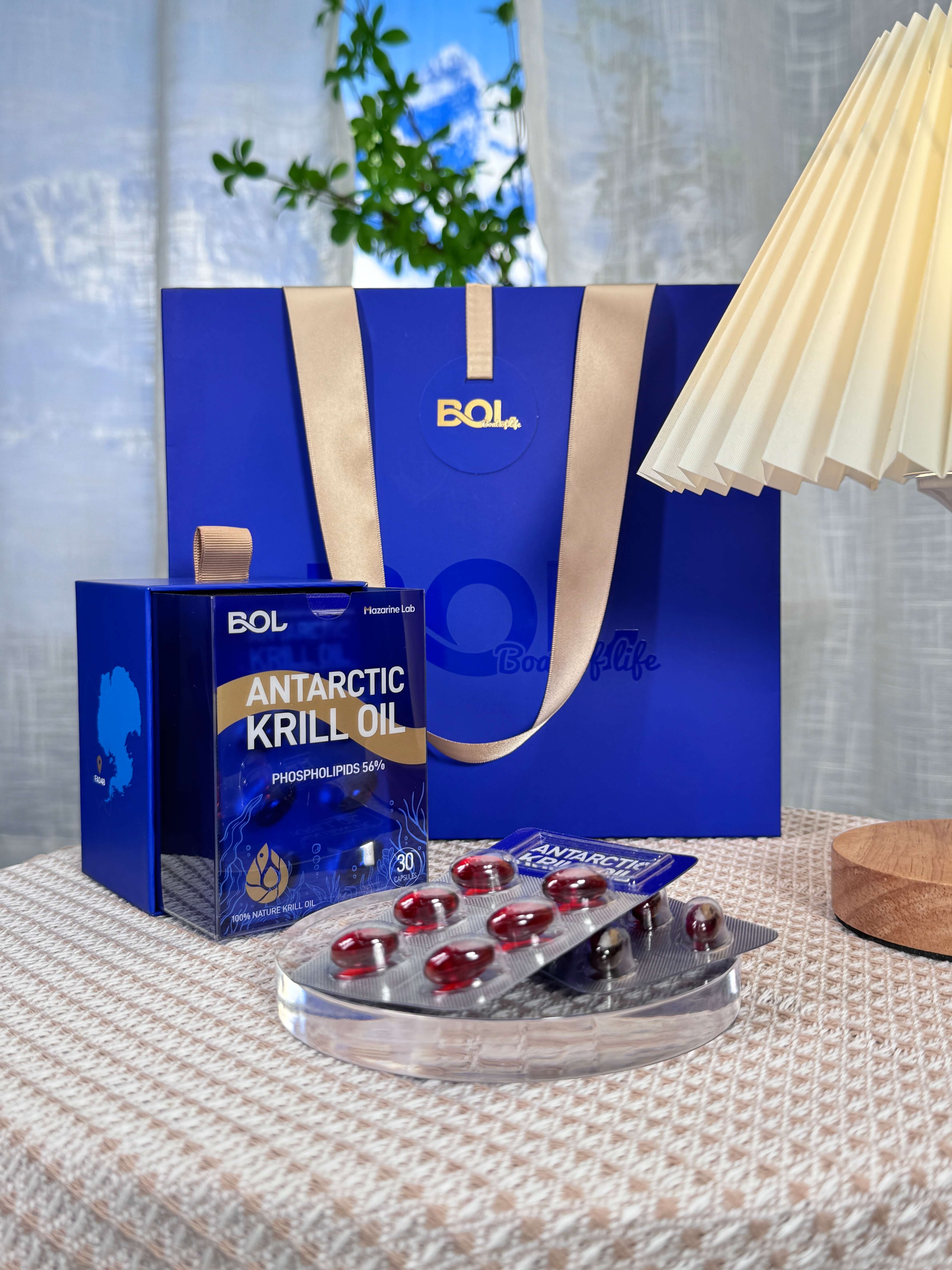 BOL Helps China’s Nort hand South Polar Expeditions