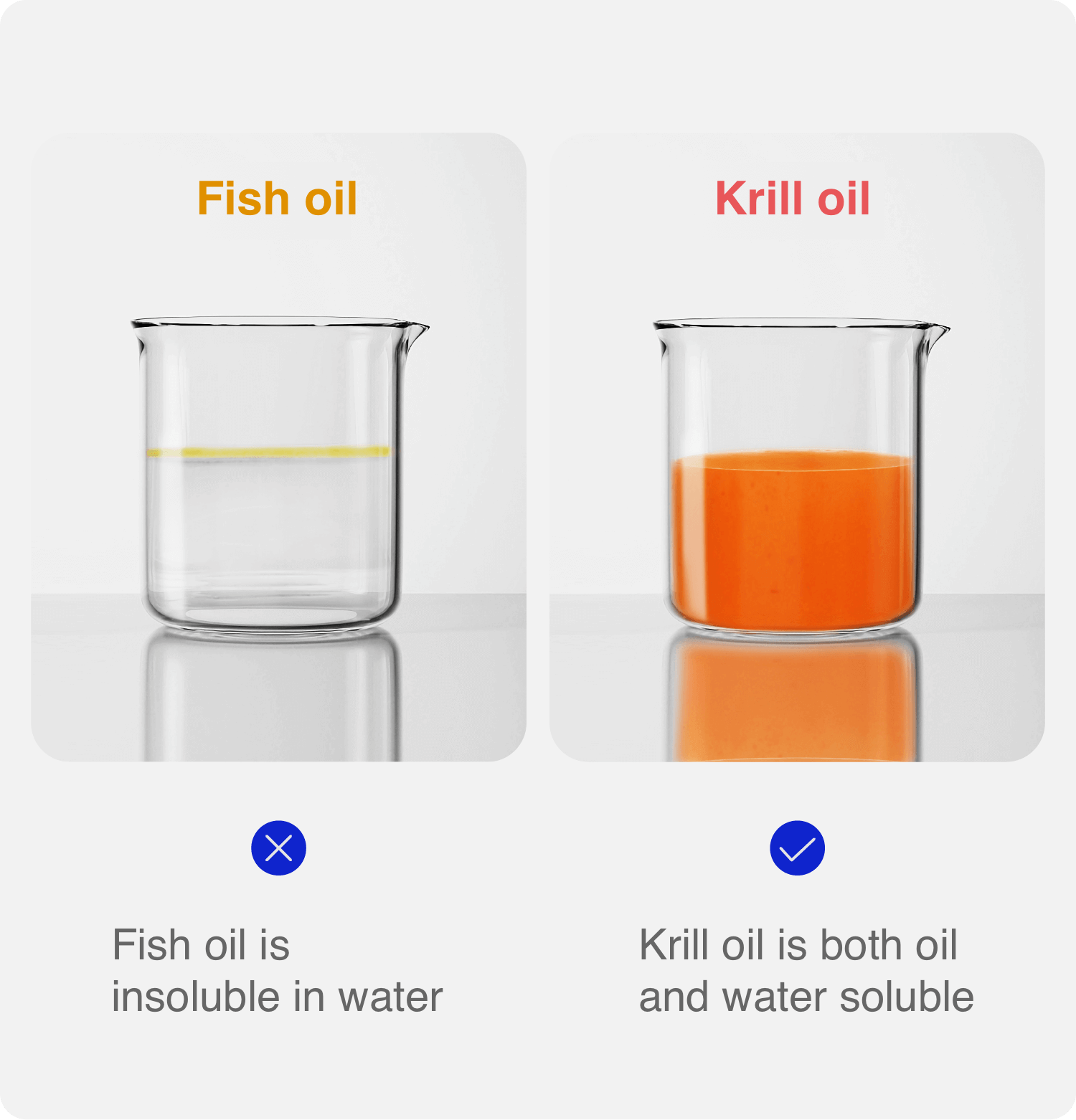 About Krill Oil